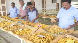 The Matel International - WhatsApp Image 2025-09-29 at 10.23.51 AM (2)